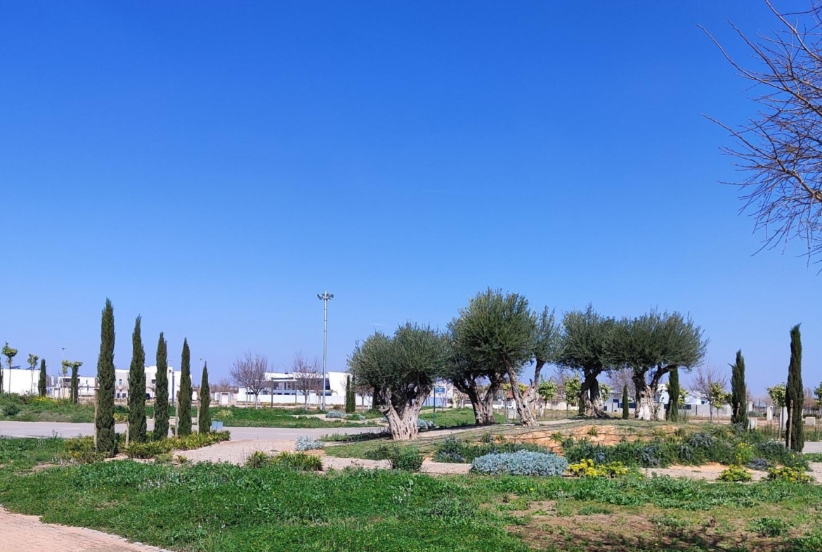 Torre Pacheco