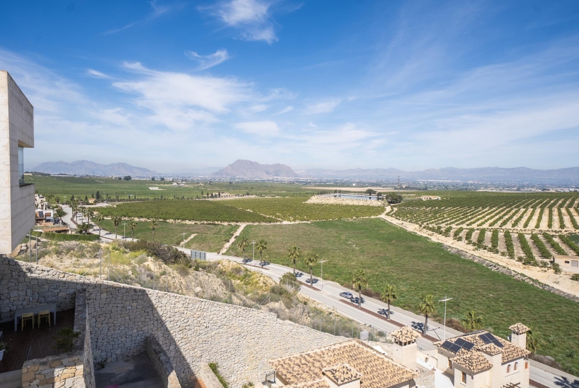 Algorfa