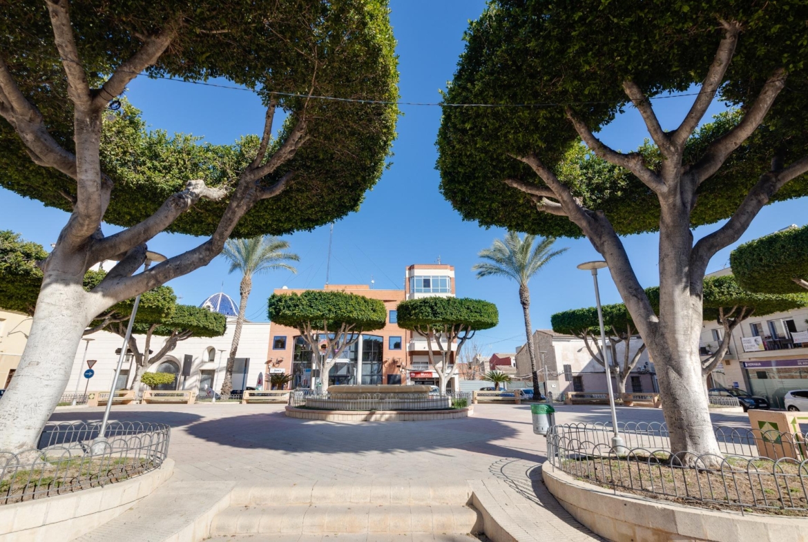 San Fulgencio