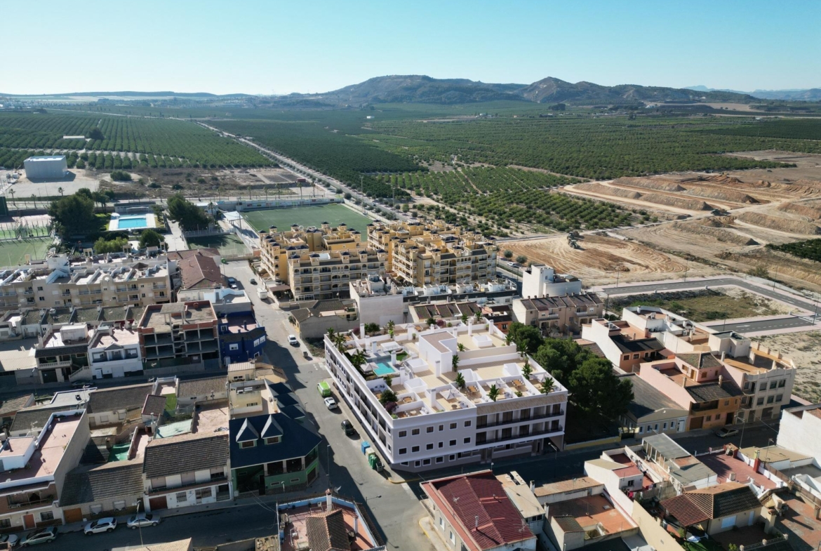 Algorfa