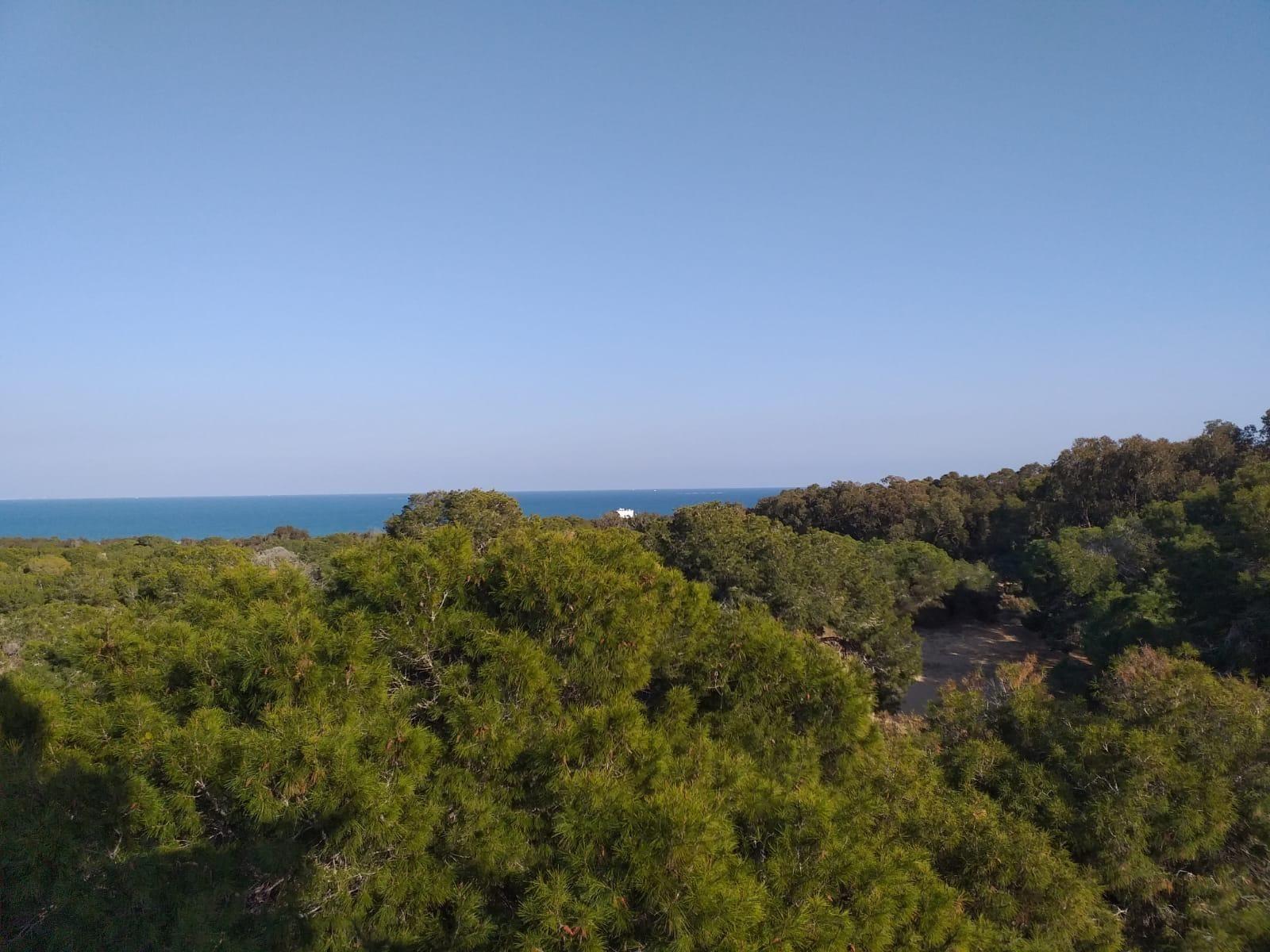 Guardamar del Segura