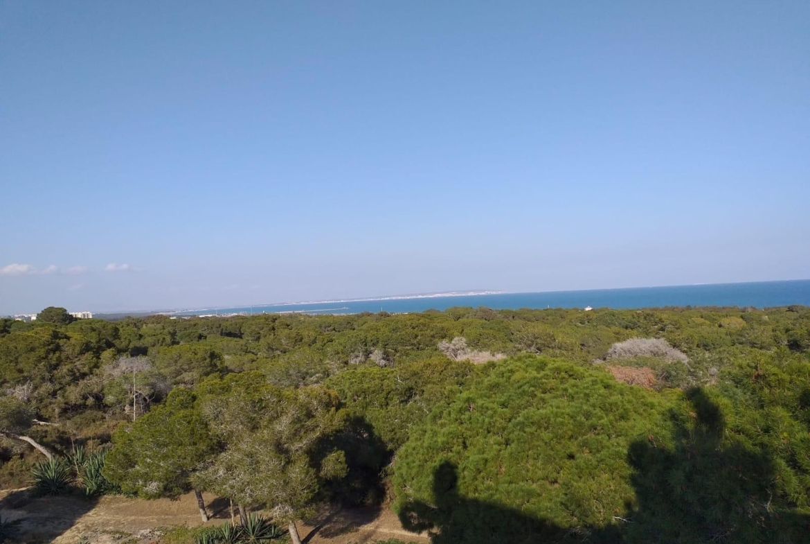 Guardamar del Segura