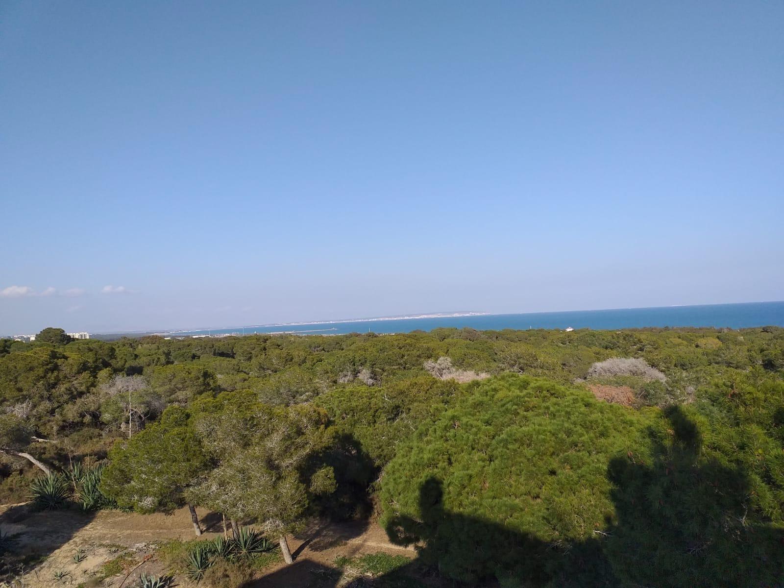 Guardamar del Segura
