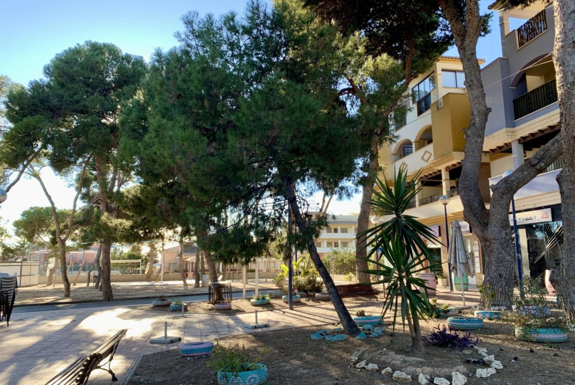 San Javier