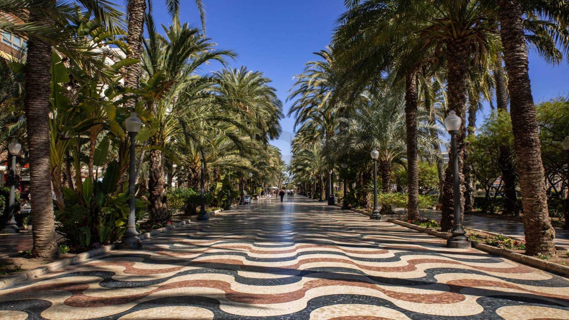 Alicante