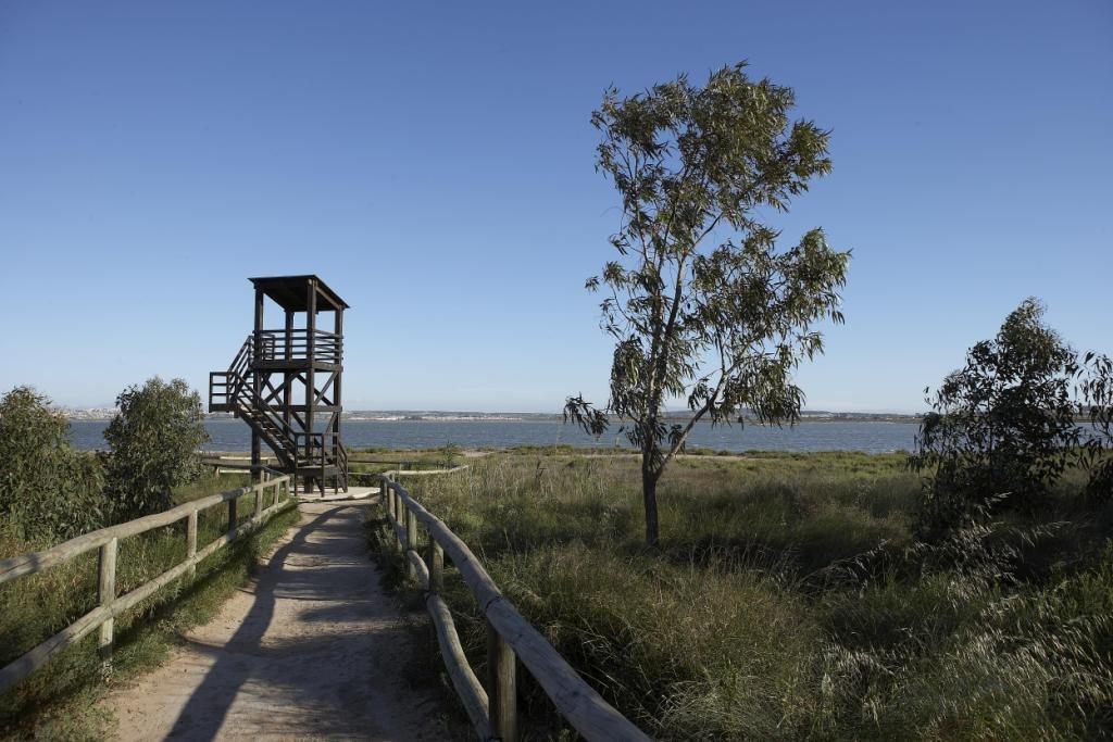 Torrevieja