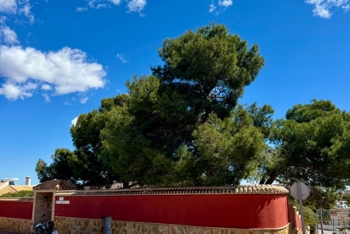 Torrevieja