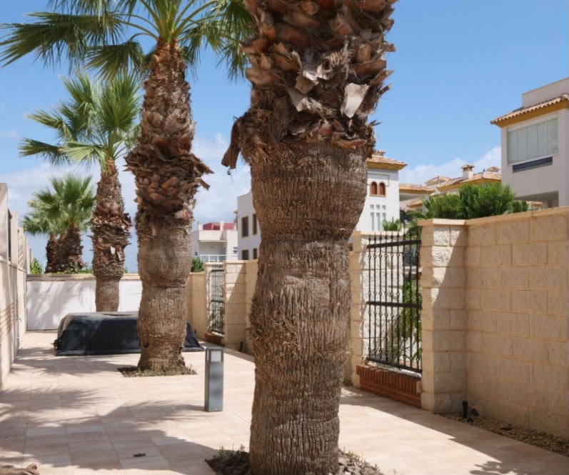 Guardamar del Segura