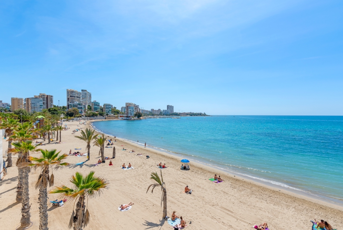 Alicante
