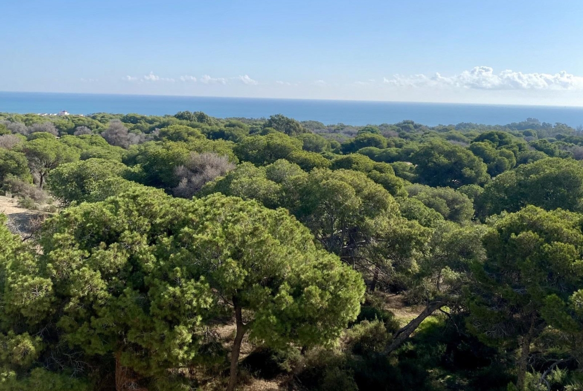Guardamar del Segura