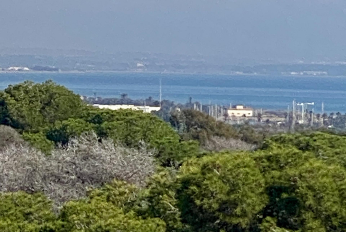 Guardamar del Segura