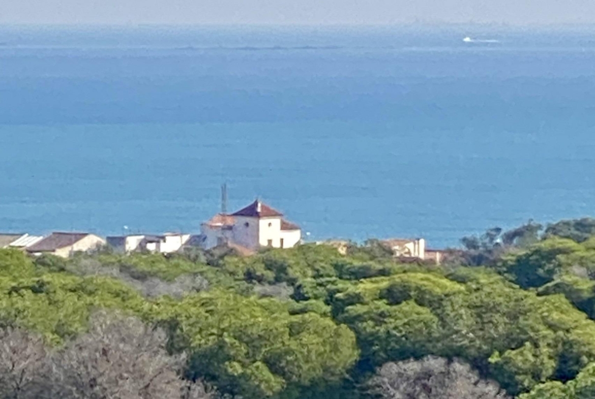 Guardamar del Segura